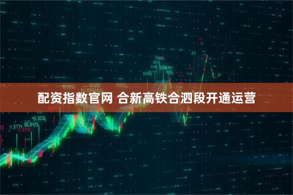 配资指数官网 合新高铁合泗段开通运营
